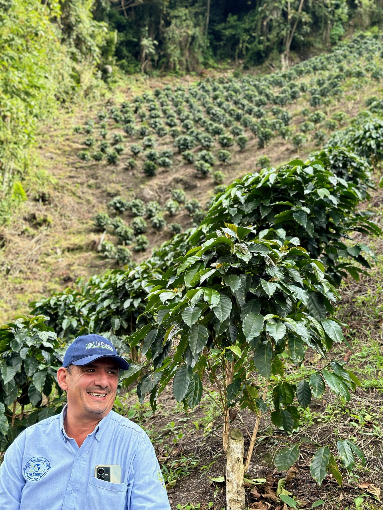 El Chaferote | Pink Bourbon - Image 15