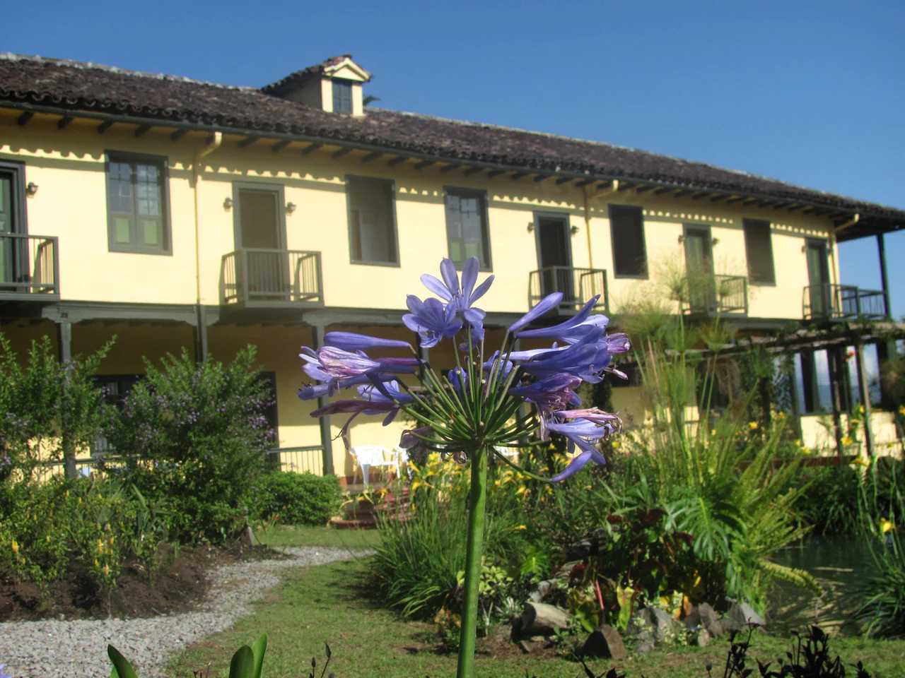 Villa Loyola - Image 10